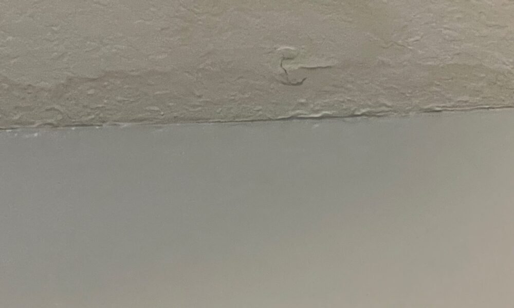 wall bey Repair my handyman