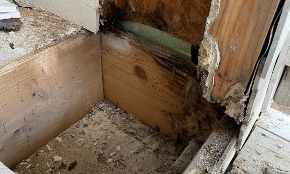 A crawl space Sugar Land