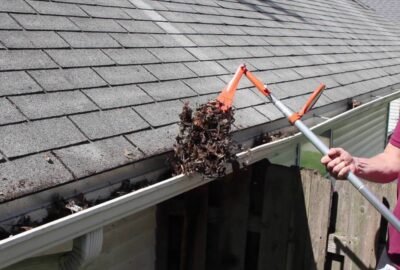 why-you-should-clean-your-gutters-1696246713